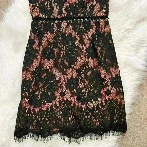 Tobi Nude & Black Lace Minidress Small - Picture 6 of 11